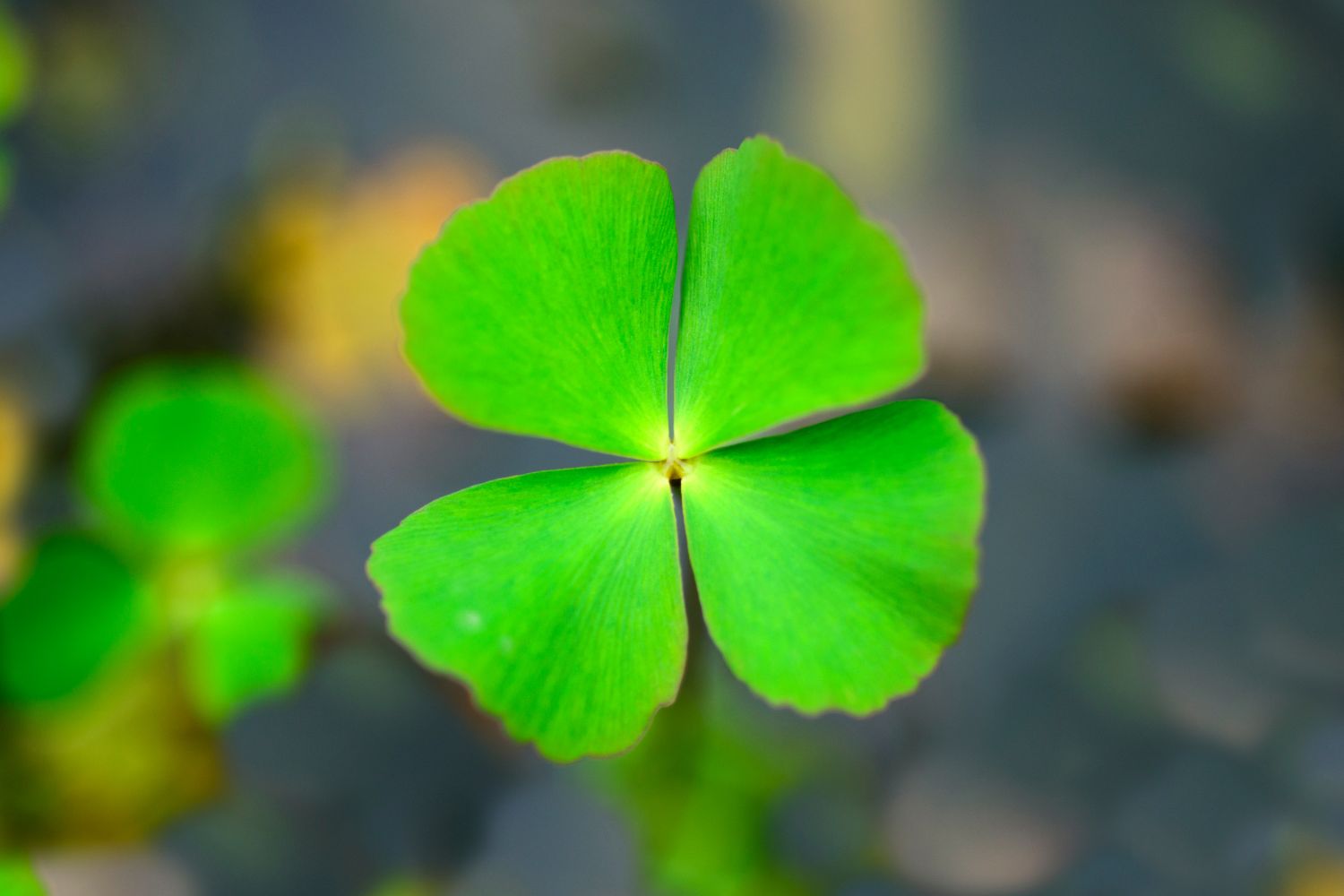 Rituel de chance en France